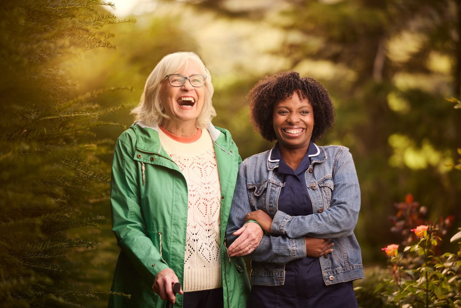 Bluebird Care - 9 Images